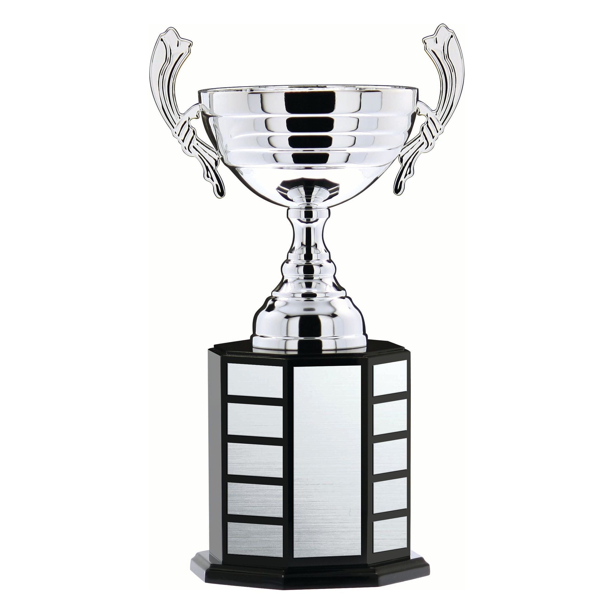 Icône de gagnant de trophée de baseball | Vecteur Premium Icône de gagnant de trophée de baseball | Vecteur Premium